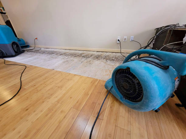 Professional Flood Damage Cleanup technician working in White Rock, NM